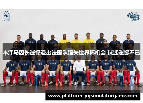 本泽马因伤遗憾退出法国队错失世界杯机会 球迷遗憾不已