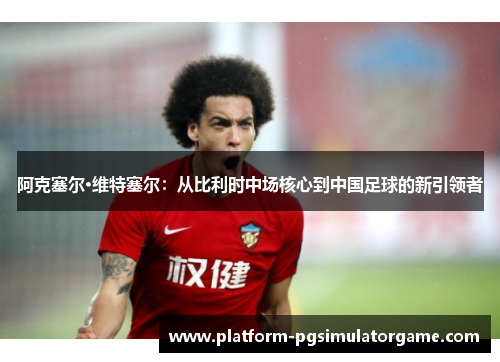 阿克塞尔·维特塞尔：从比利时中场核心到中国足球的新引领者