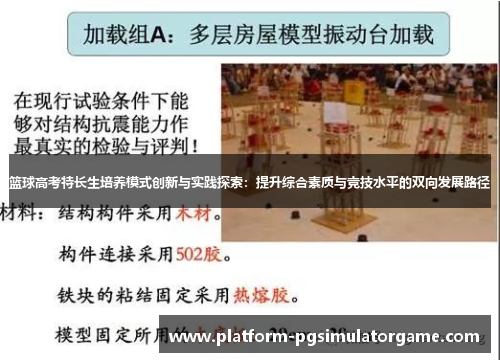 篮球高考特长生培养模式创新与实践探索：提升综合素质与竞技水平的双向发展路径