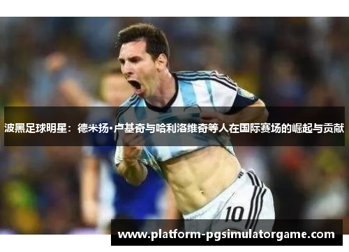 波黑足球明星：德米扬·卢基奇与哈利洛维奇等人在国际赛场的崛起与贡献