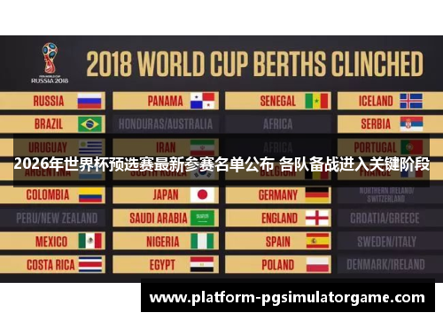2026年世界杯预选赛最新参赛名单公布 各队备战进入关键阶段