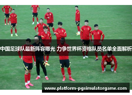 中国足球队最新阵容曝光 力争世界杯资格队员名单全面解析