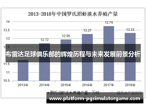 布雷达足球俱乐部的辉煌历程与未来发展前景分析