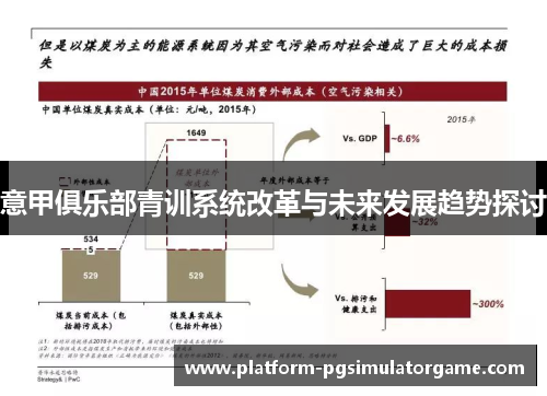 意甲俱乐部青训系统改革与未来发展趋势探讨