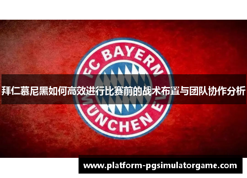 拜仁慕尼黑如何高效进行比赛前的战术布置与团队协作分析