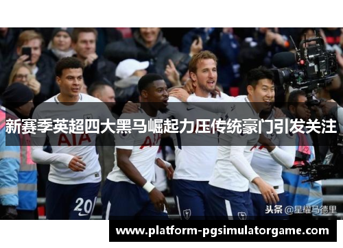 新赛季英超四大黑马崛起力压传统豪门引发关注