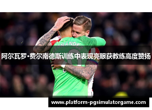 阿尔瓦罗·费尔南德斯训练中表现亮眼获教练高度赞扬