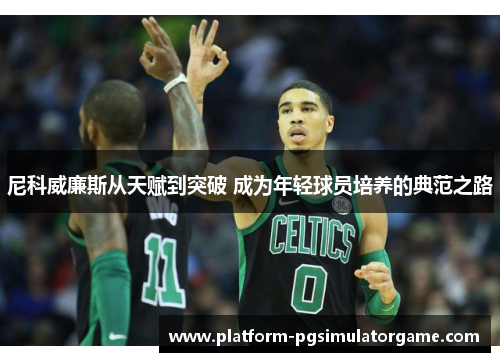尼科威廉斯从天赋到突破 成为年轻球员培养的典范之路