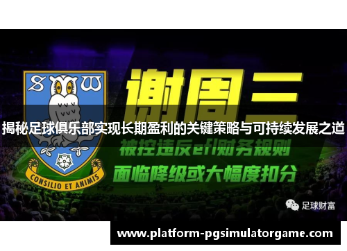 揭秘足球俱乐部实现长期盈利的关键策略与可持续发展之道