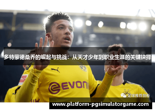 多特蒙德桑乔的崛起与挑战：从天才少年到职业生涯的关键抉择