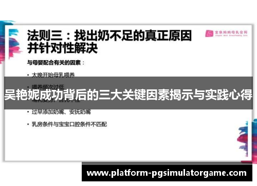 吴艳妮成功背后的三大关键因素揭示与实践心得