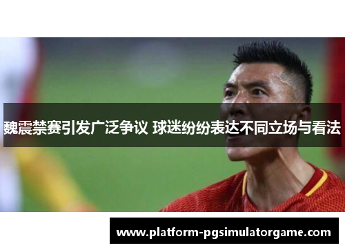魏震禁赛引发广泛争议 球迷纷纷表达不同立场与看法