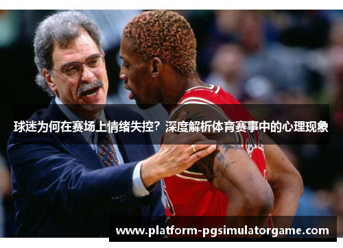 球迷为何在赛场上情绪失控？深度解析体育赛事中的心理现象