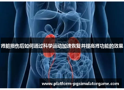 肾脏损伤后如何通过科学运动加速恢复并提高肾功能的效果