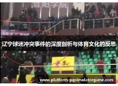 辽宁球迷冲突事件的深度剖析与体育文化的反思