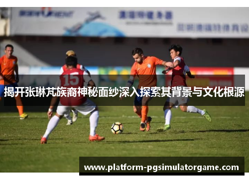 揭开张琳芃族裔神秘面纱深入探索其背景与文化根源