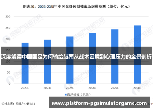 深度解读中国国足为何输给越南从战术困境到心理压力的全景剖析