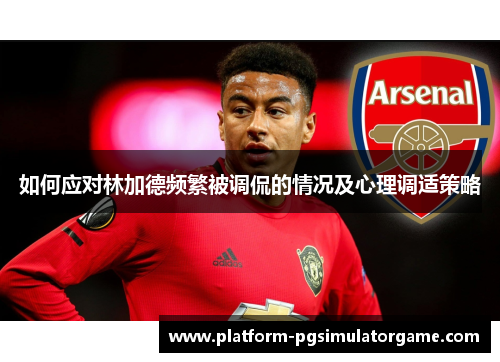 如何应对林加德频繁被调侃的情况及心理调适策略